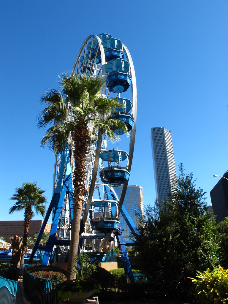 Houston Texas Downtown Aquarium Ferris wheel Downtown skyl… Flickr