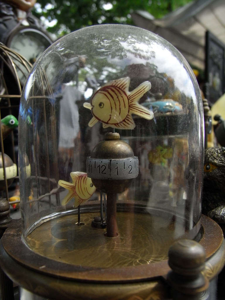 Fishclock Fish clock! Fish clock, fish clock. alex_henri Flickr