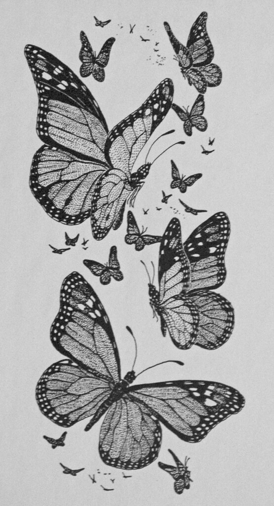 Drawing Monarch Butterflies A pen & ink drawing done for … Flickr