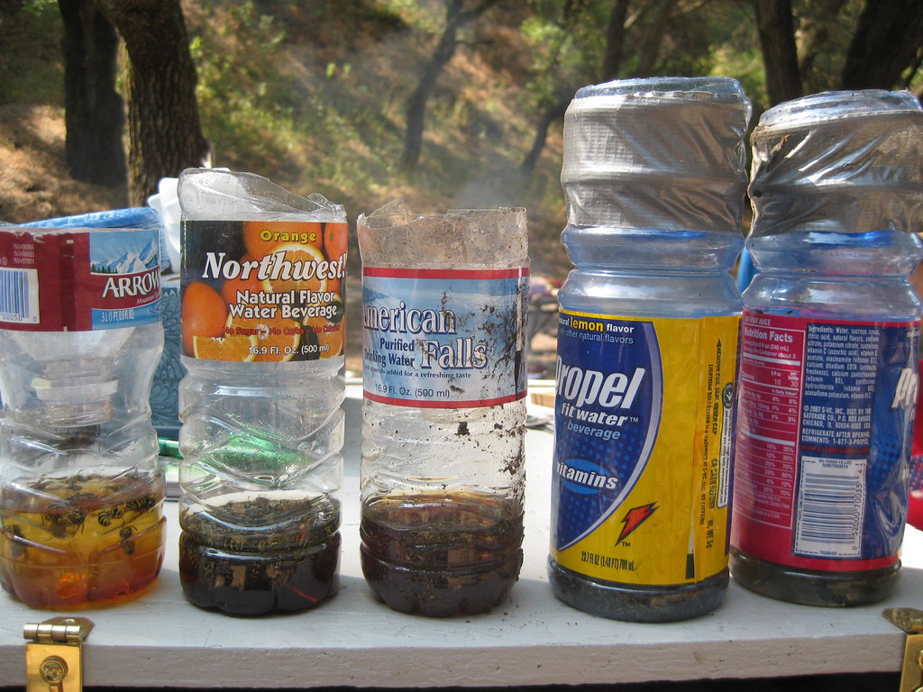 Yellow Jacket Traps Homemade yellow jacket traps. Brenna Flickr