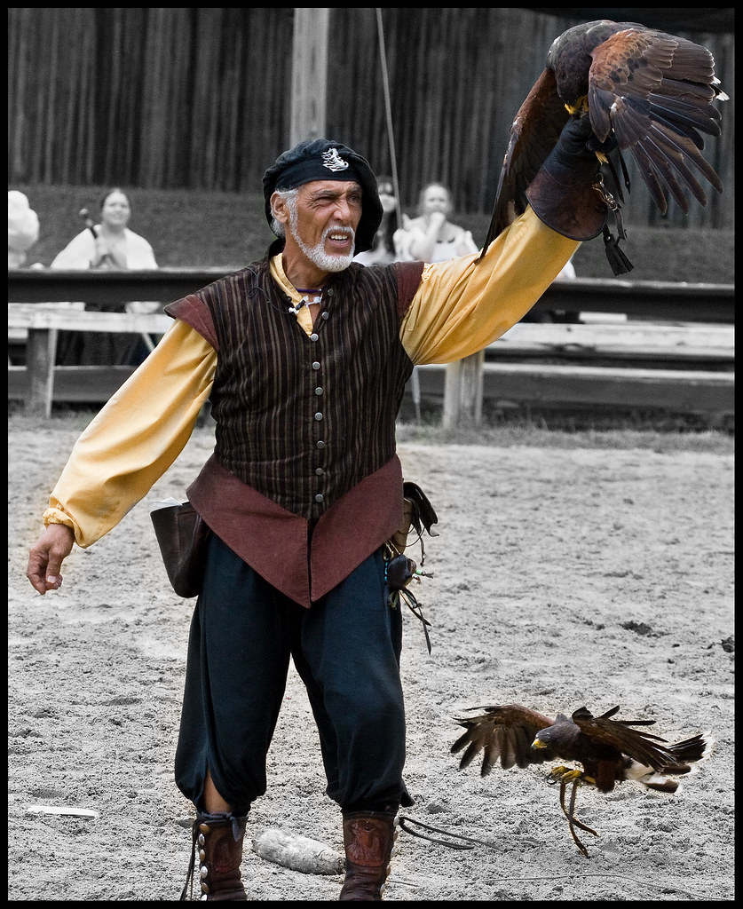 Falconer The falconer and his birds at the Bristol Renaiss… Flickr