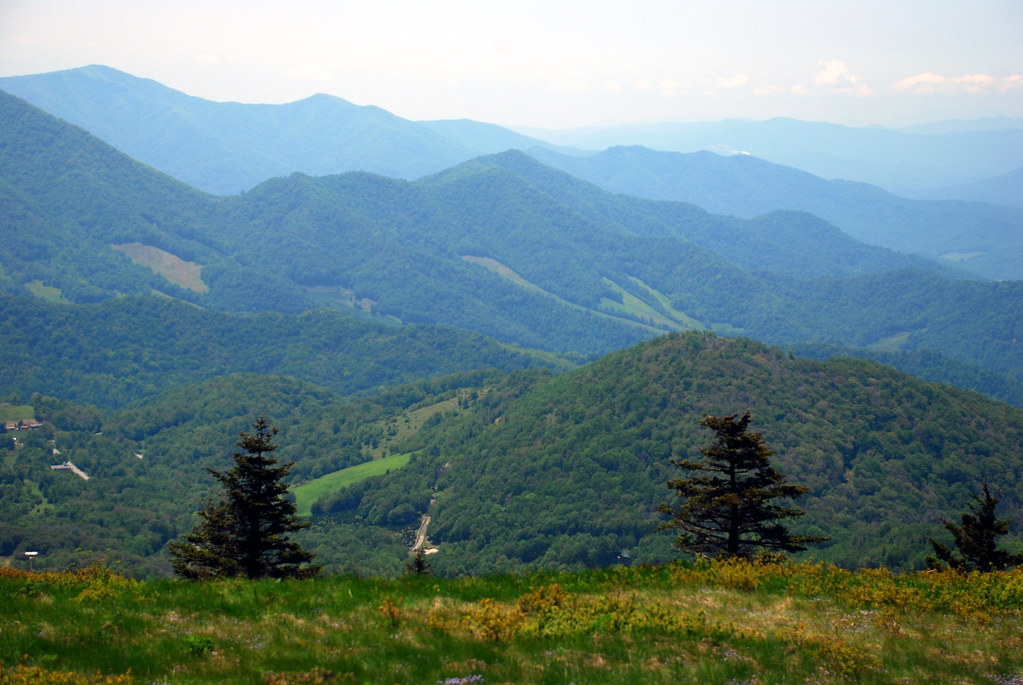 2011 05 29068 Roan Mountain is the highpoint of the Roan… Flickr