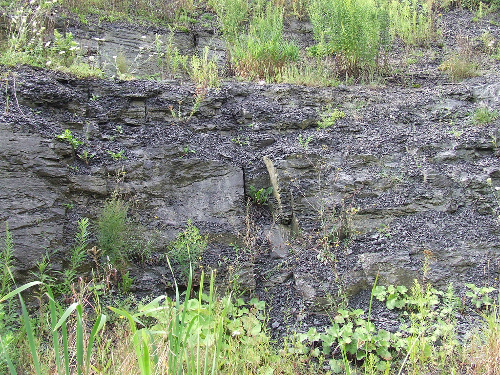 Rose Hill Quarry Site3c Credit Laurie VanVleet, Ithaca Ci… Flickr