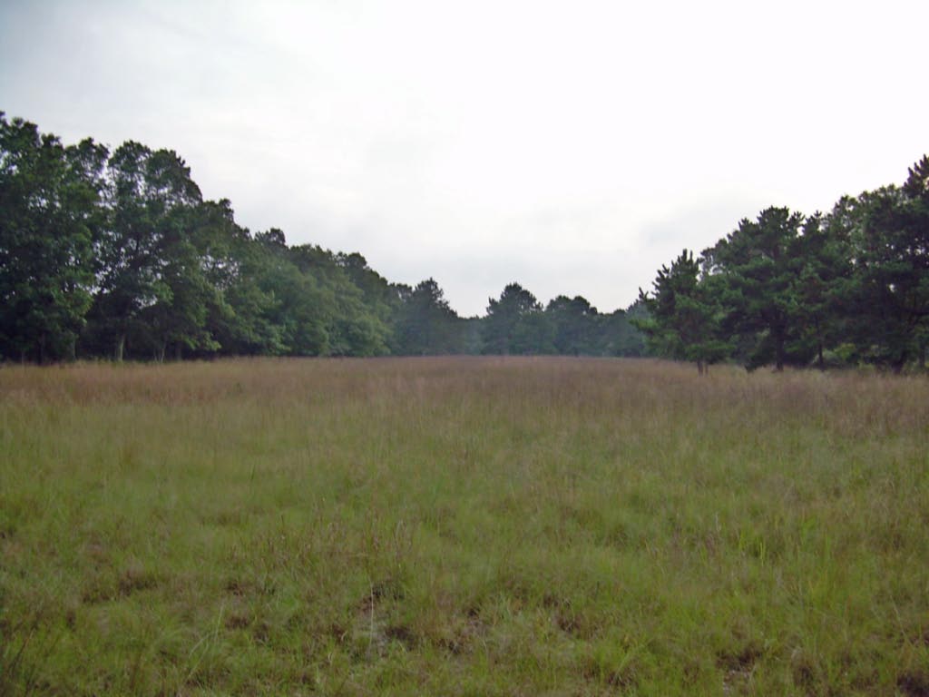 Southaven County Park Yaphank, NY Morton Fox Flickr