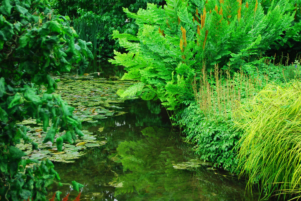 Water Gardens at Stockbridge Lauren J Brown Flickr