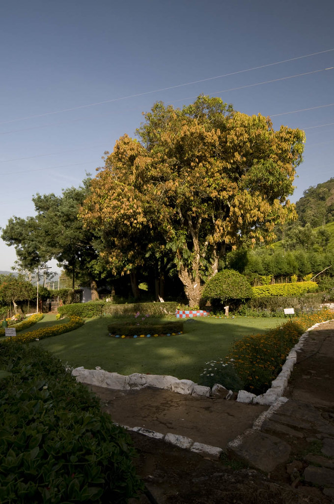 Adderley Guesthouse Gardens The gardens that surround Adde… Flickr