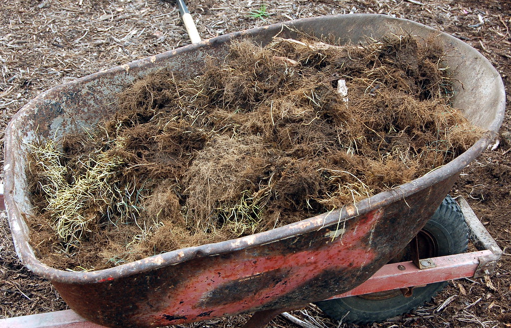 Sod Headed for the compost pile. sdccesc Flickr