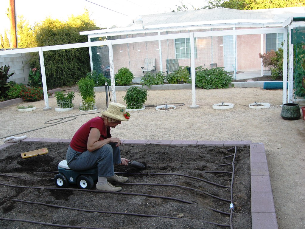 Las Vegas Gardening Drip Irrigation & Rich Black Soil Flickr