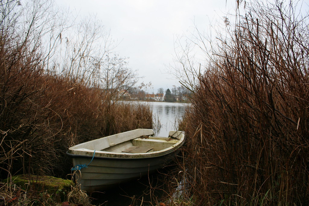 Forest near the Castle Michael LabrecqueJessen Flickr