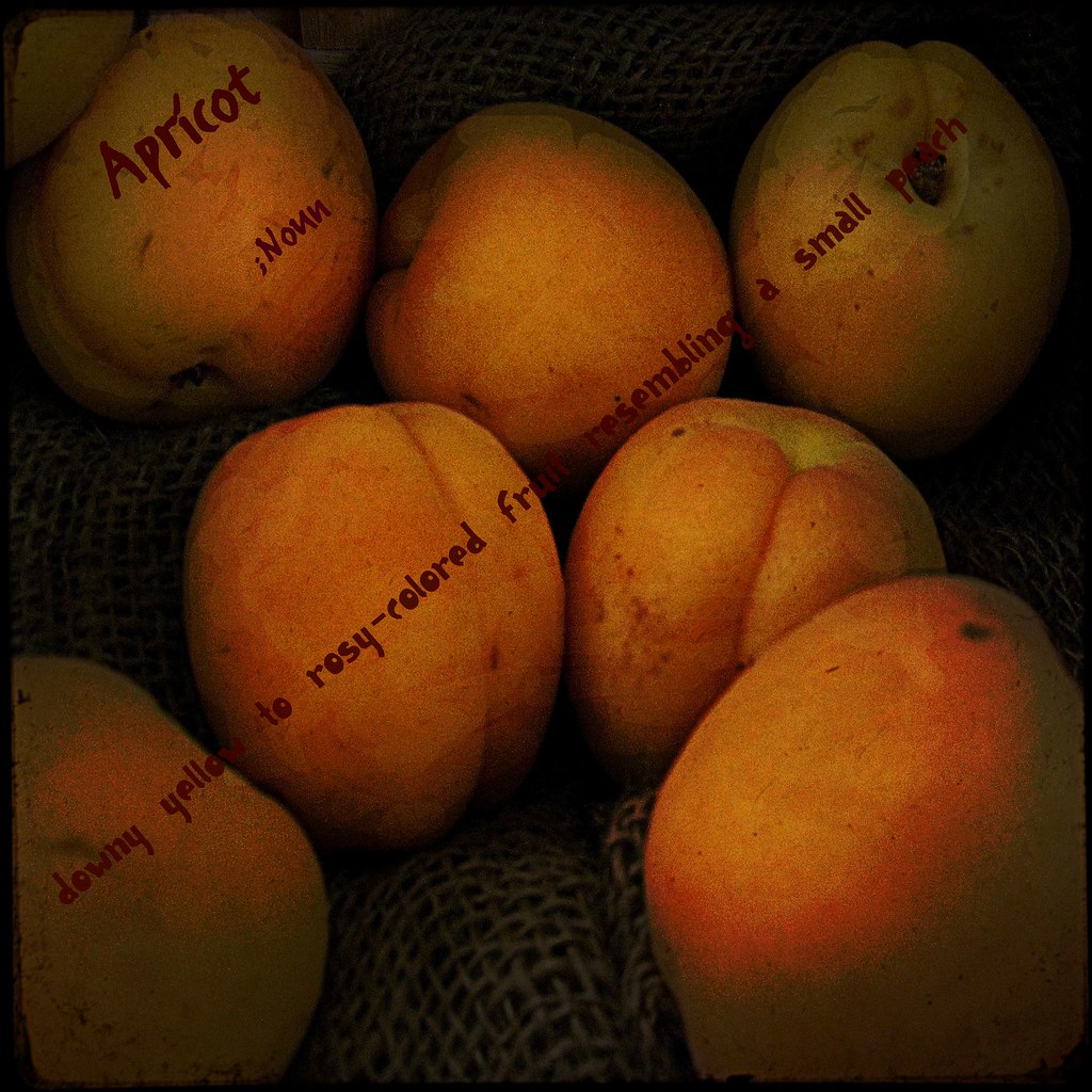 Apricot Created for The Dictionary of Image and Complete H… Flickr