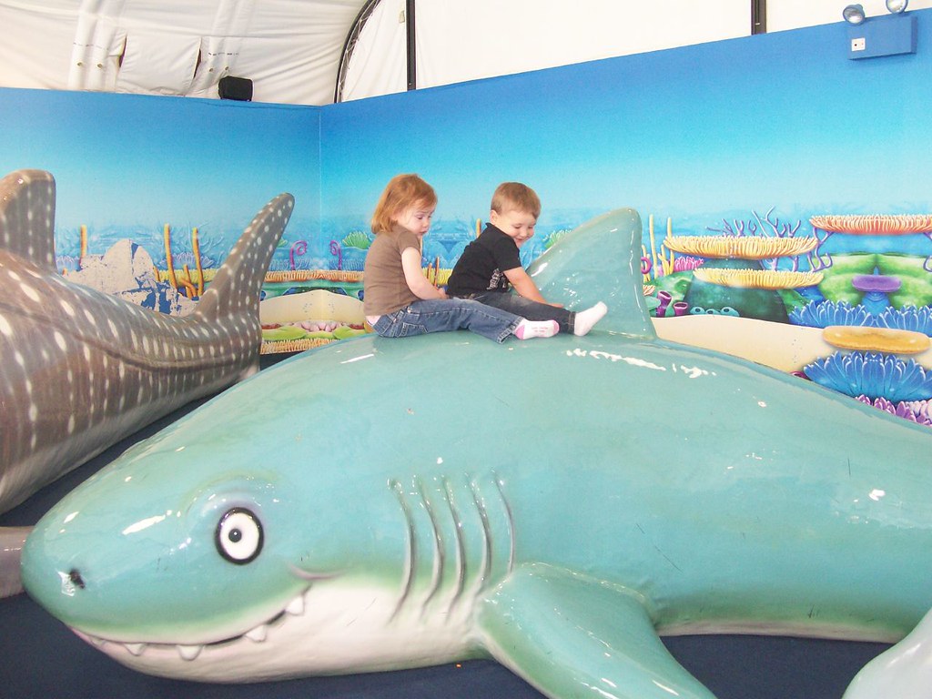 nikusdesign Denver Aquarium Jobs