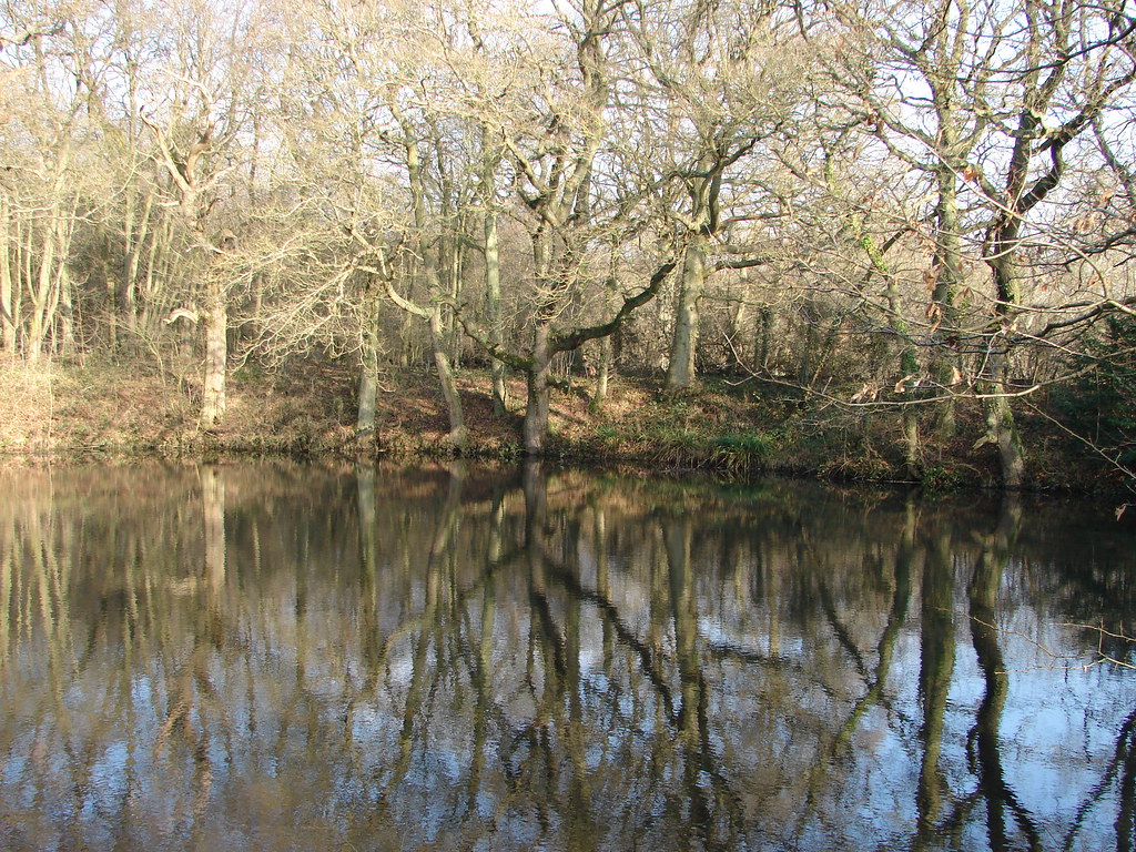 Horns lodge 29.01.2009 001 Jukidd Flickr