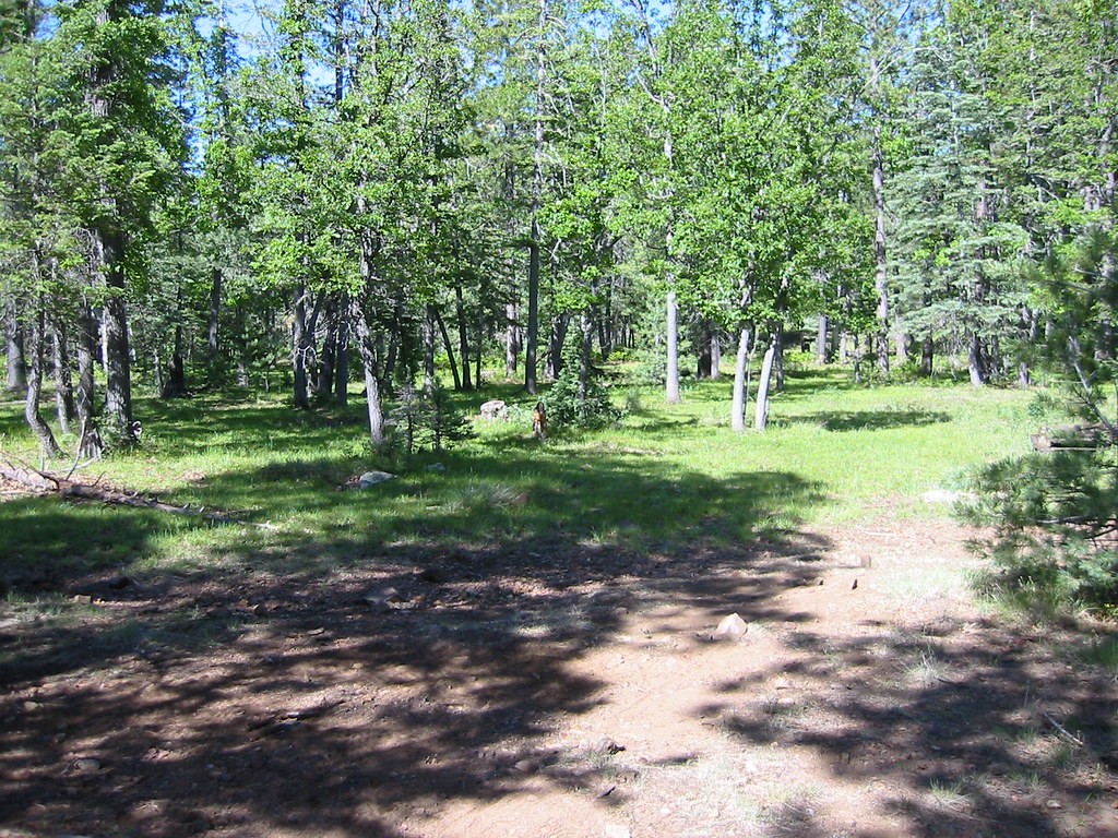 Knoll Lake Camp Ground This is a very secluded campground … Flickr
