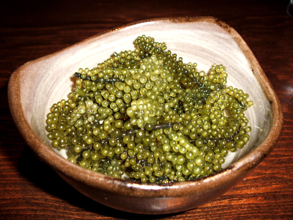 Sea Grapes Actually, they are a type of seaweed grown in t… Flickr