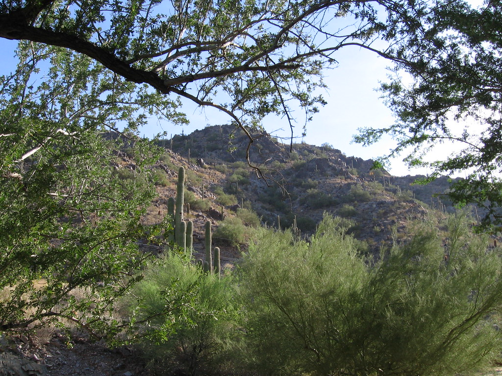 Phoenix Hillside rich glasgow Flickr