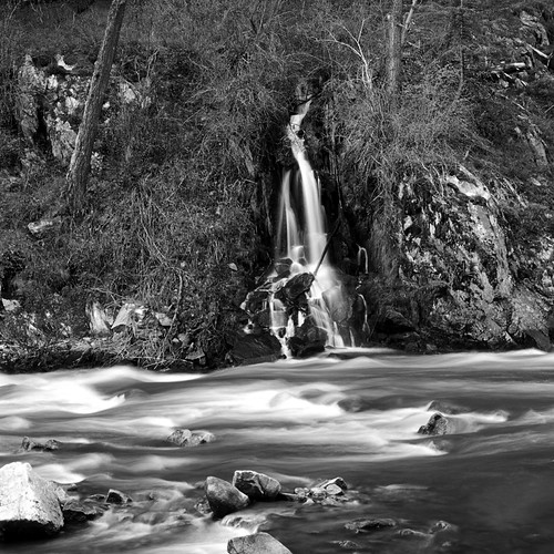 Little Salmon River, Idaho waterfall cascades into river b… Flickr