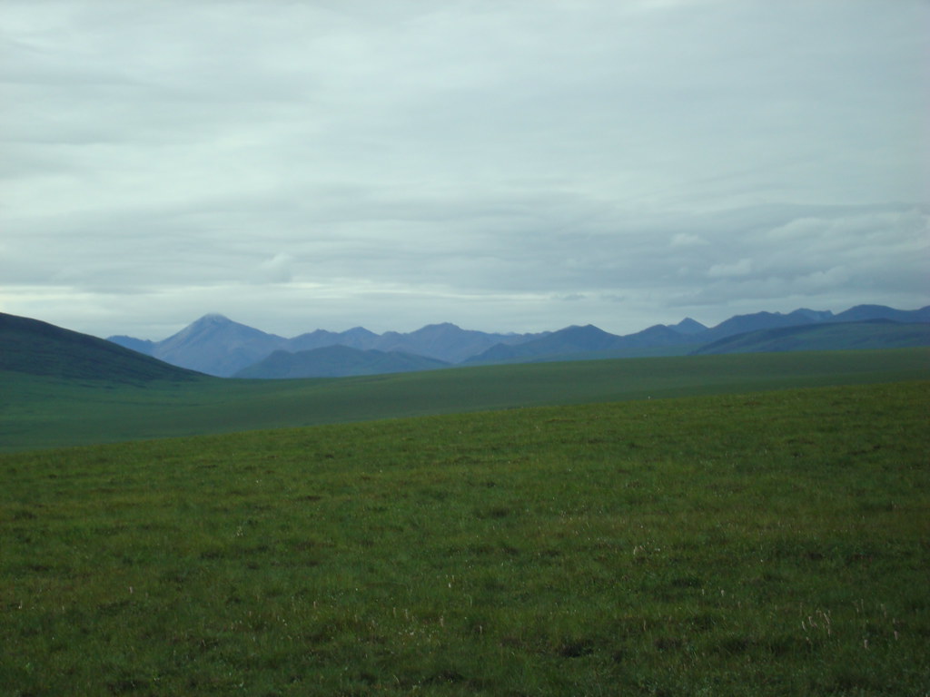 dsc00980 Tyler's Alaska Photos Sam / Olai Ose / Skjaervoy Flickr