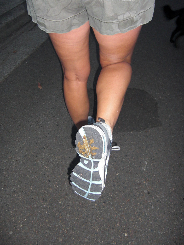 Dog Shit on Shoe datilpepper1 Flickr