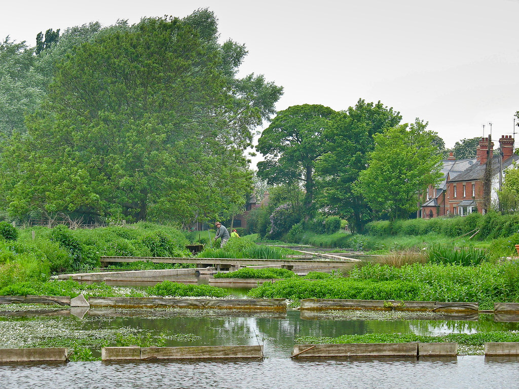 Ewelme Watercress Beds, Oxfordshire The beds from the east… Flickr