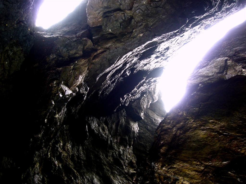 through the nose jeepers creepers Flickr