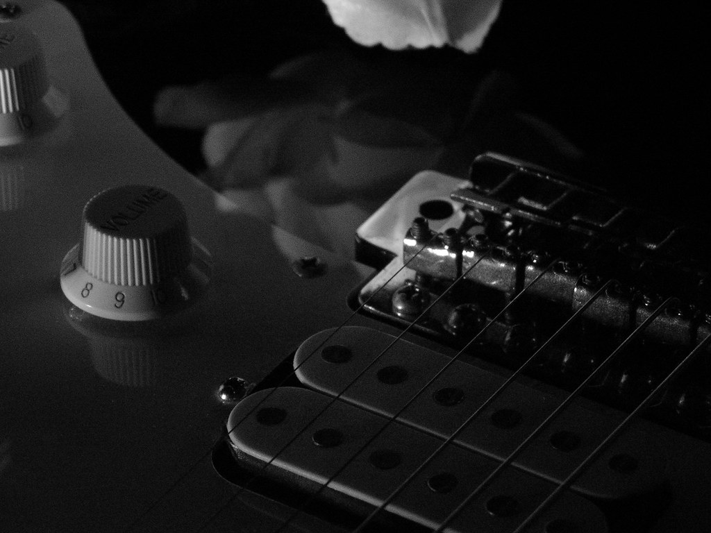 Wurtsboro, NY Electric Guitar w Rose Vol Pickup 02 Flickr