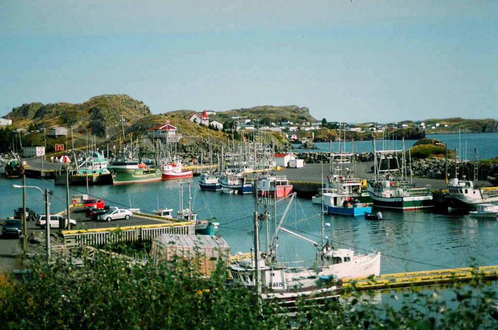 Port de Grave Harbour Photo N. Ayad Fishing Community www… Flickr