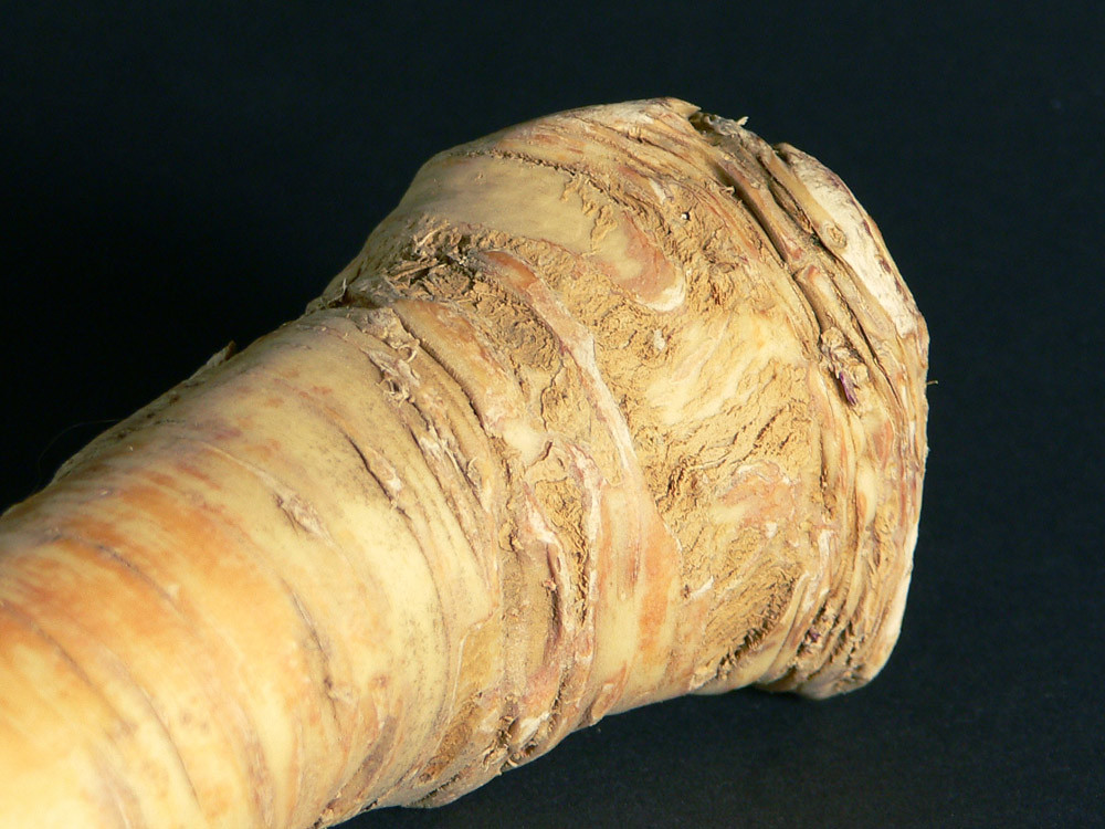 Krenwurzel Creamed Horseradish. Recipe in German & English… Flickr