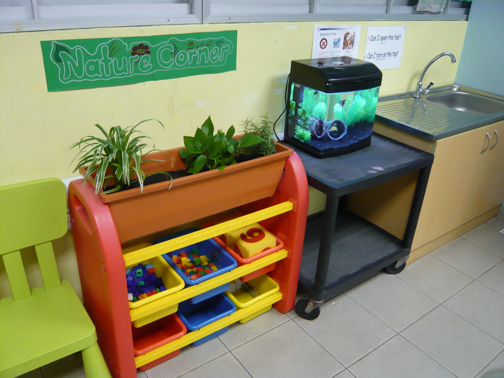 Nature Corner The Nature Corner is to teach children to ap… Flickr