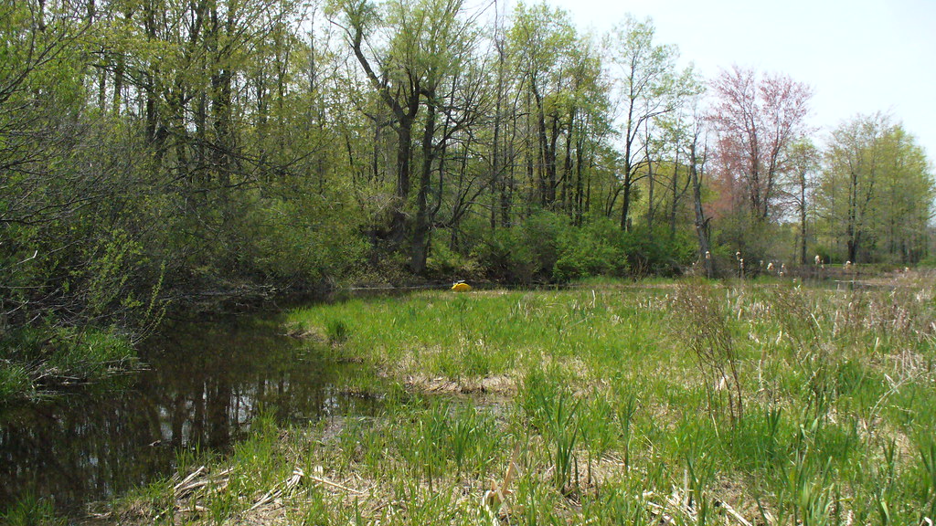 Black Creek Churchville 5 6 2008 Kayak fishing trip above … Flickr