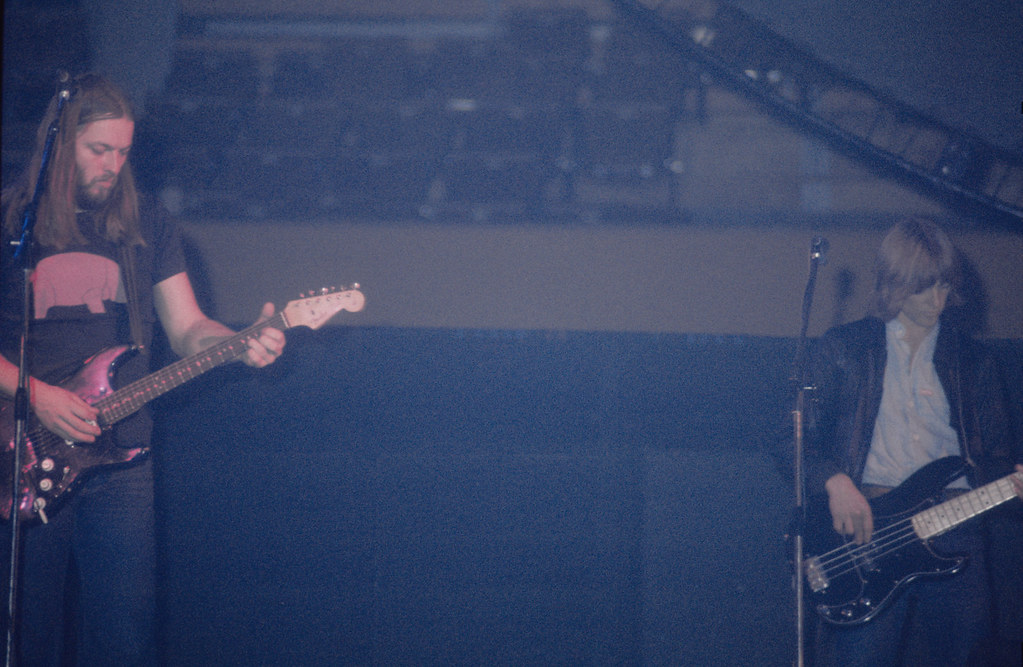 David Gilmour 1977