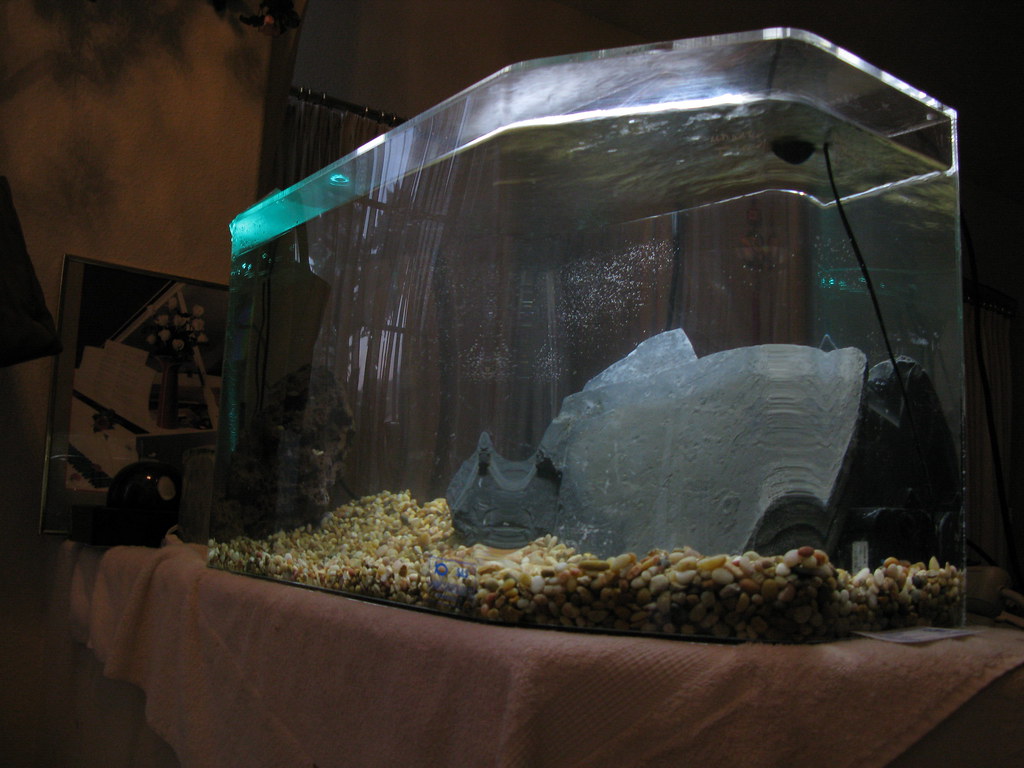 20080720_IMG_2166 New 30g aquarium initial setup Peter Kuo Flickr