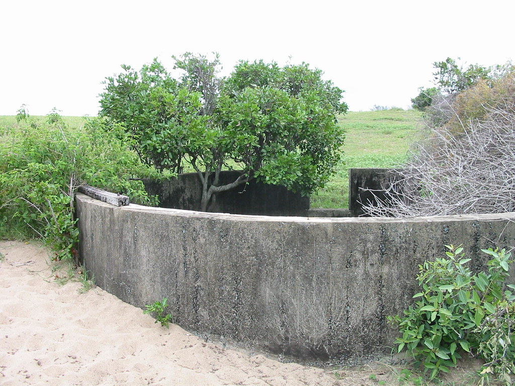 East Point, Mackay 1202070_IMG Ian Sutton Flickr