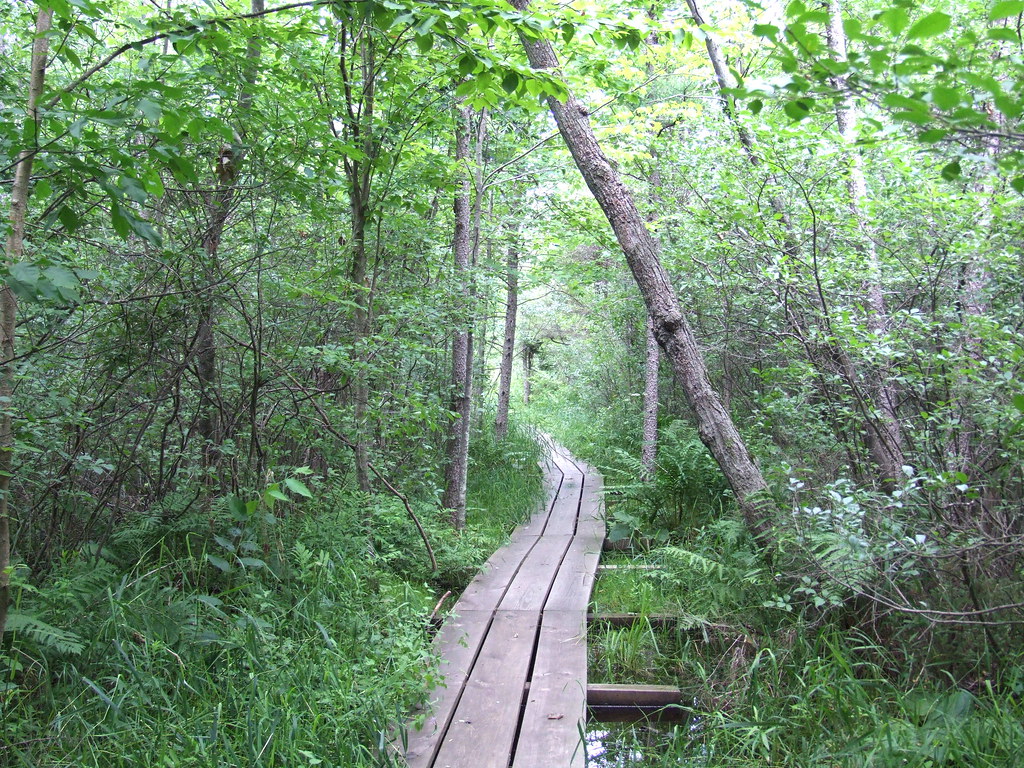 Spruce Lake Bog Spruce Lake Bog State Natural Area is loca… Flickr