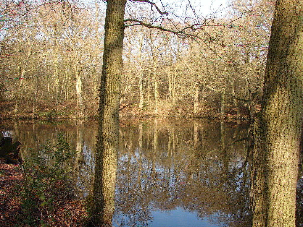 Horns lodge 29.01.2009 003 Jukidd Flickr