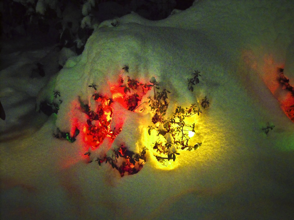 Glow Glowing Christmas lights under a blanket of snow duri… Flickr