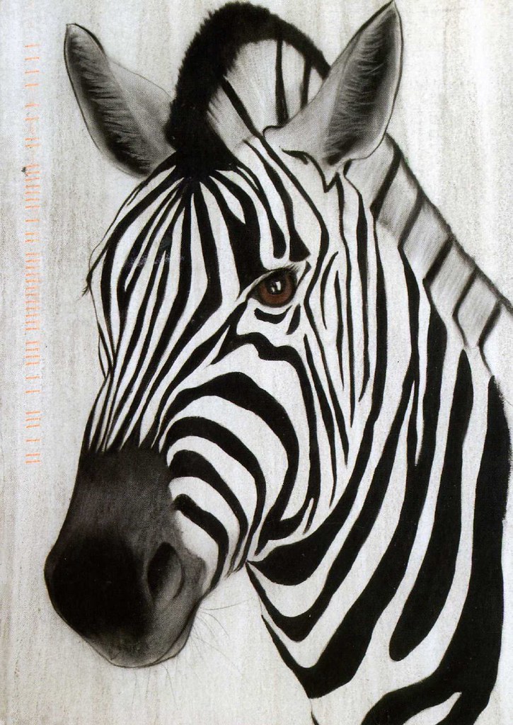 From Meulikki Beautiful Zebra from Sweden! Mary Flickr