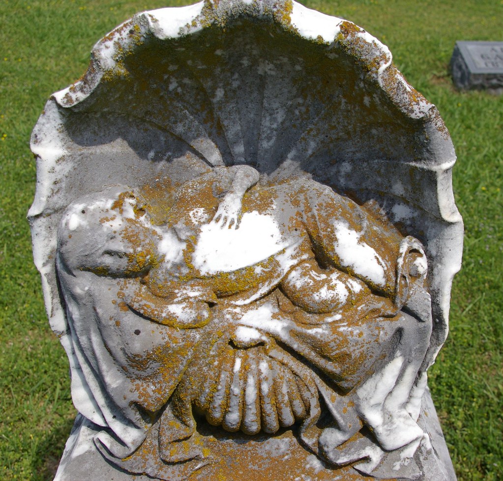 BABY IN A SHELL DETAIL Trezevant Cemetery Trezevant, Tenne… Flickr
