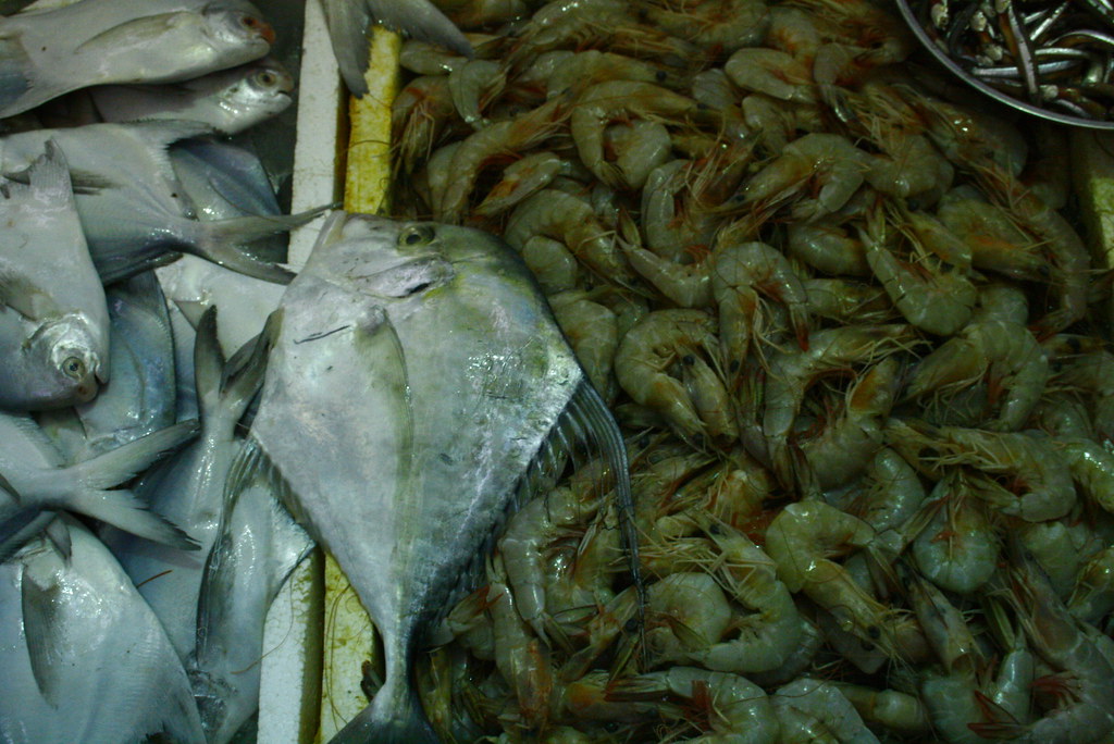 _MG_5640 karama fish market, dubai fumigene Flickr
