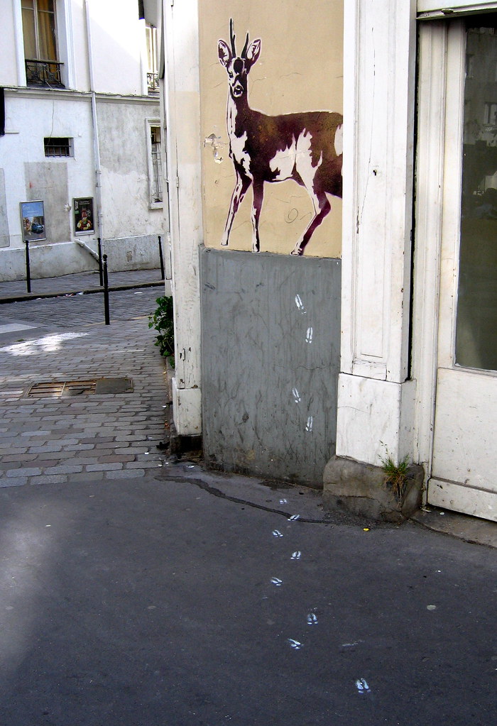 Chevreuil 4 Chevreuil rue Henri Chevreau Xavier Cazin Flickr