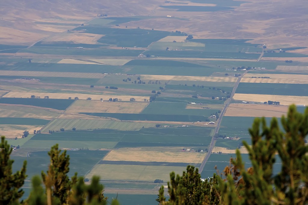Farmland Just an aerial shot of some farmland in Oregon. Desirae