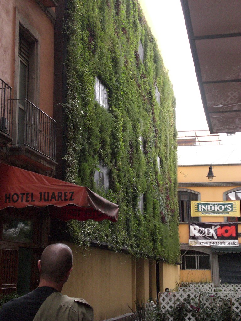 Mexico City Downtown Vertical Garden The area is surround… Flickr