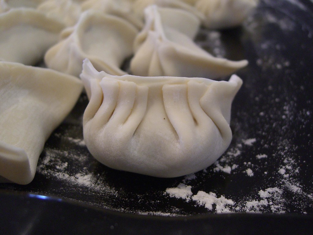 8pleats Julia's Beef and Chinese Celery Dumplings Flickr