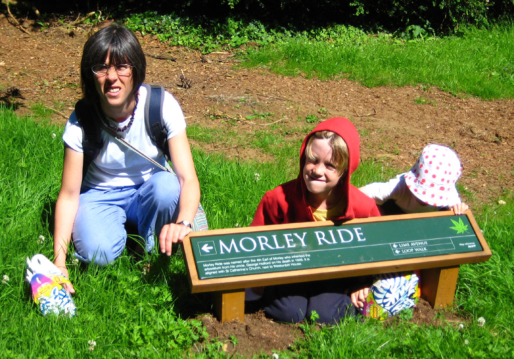 Morley Drive, Westonbirt TheShawn Flickr