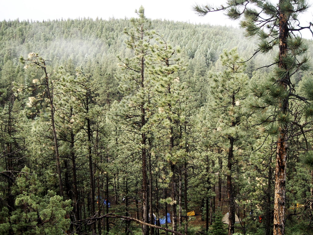 Philmont Trek 625D June 2008 Overlook Head of Dean Flickr