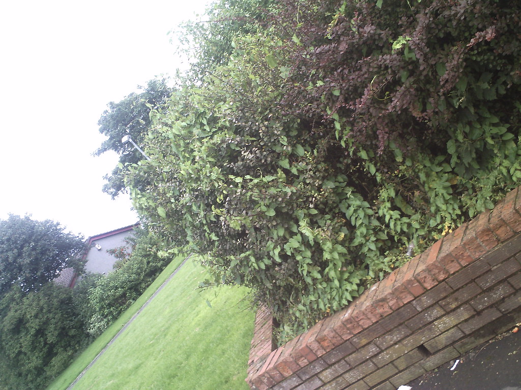 PICT0007 park bridge arkleston renfrew motorway scotland u… p1234