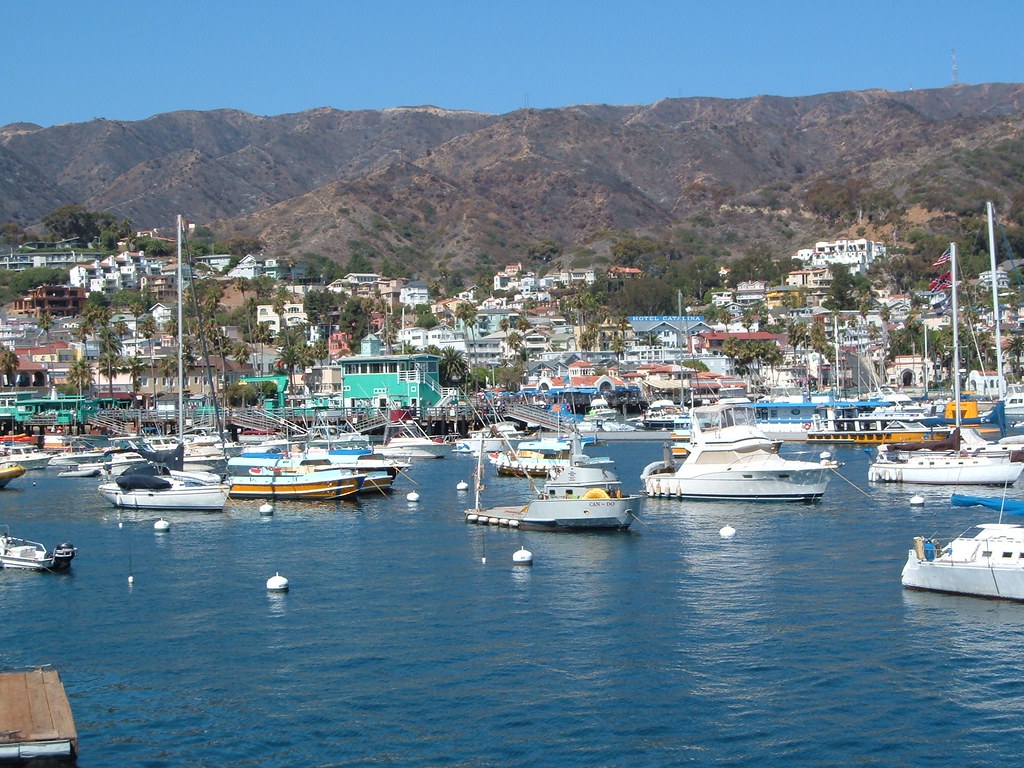 Catalina Island Boats in Harbor Michael Gray Flickr