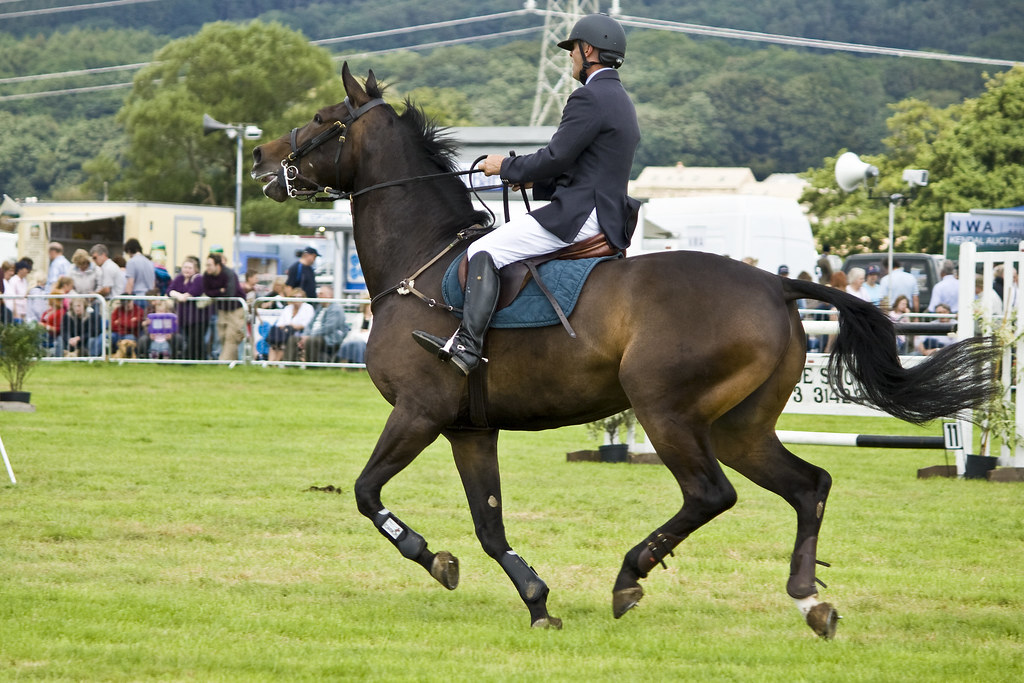 Garstang Horse Show dfrear Flickr