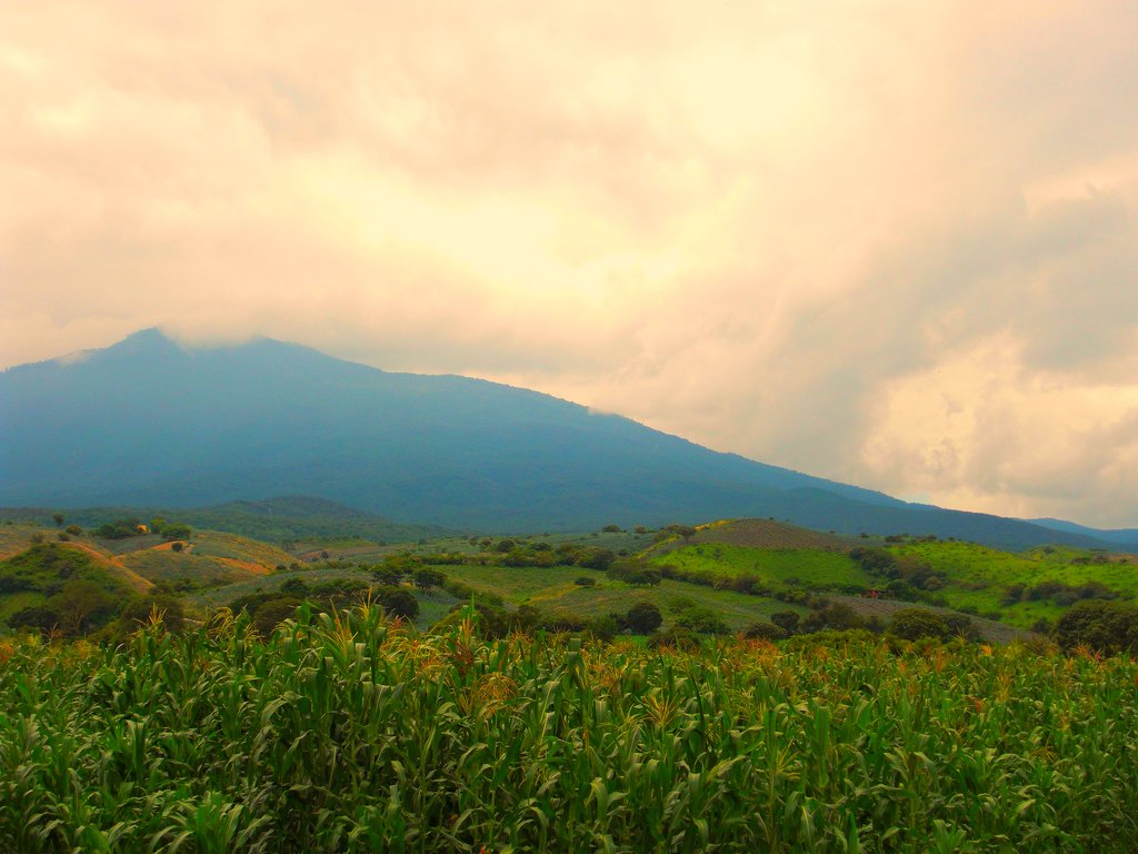 Tequila Tequila, jalisco. Mexico Cesar Rendon Flickr