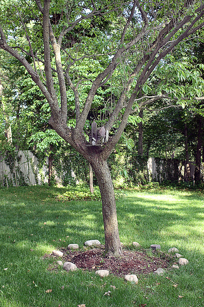 Garden 1 brendan_francis_condon Flickr