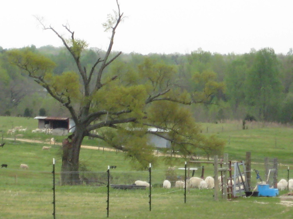 Captain J.S. Pope Farm Cedar Grove, NC Jason Adams Flickr